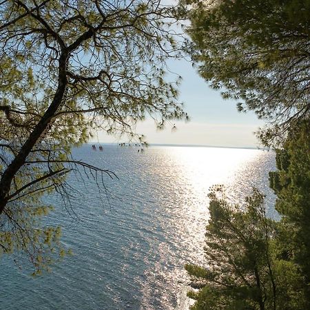 Squirrel Beach Front Villa, Metamorfosi Metamorfosi (Sithonia) Exterior foto