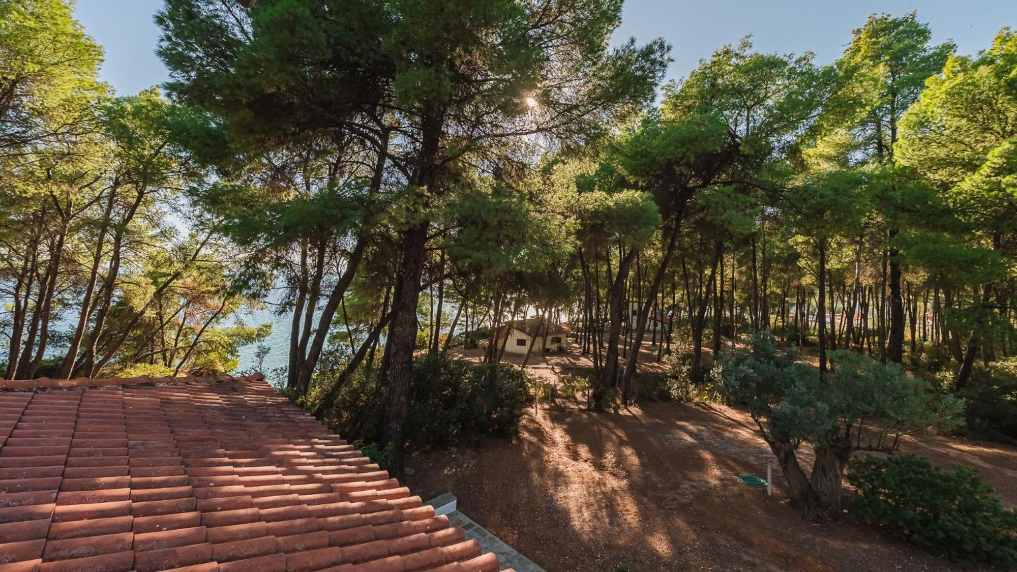 Squirrel Beach Front Villa, Metamorfosi Metamorfosi (Sithonia) Exterior foto