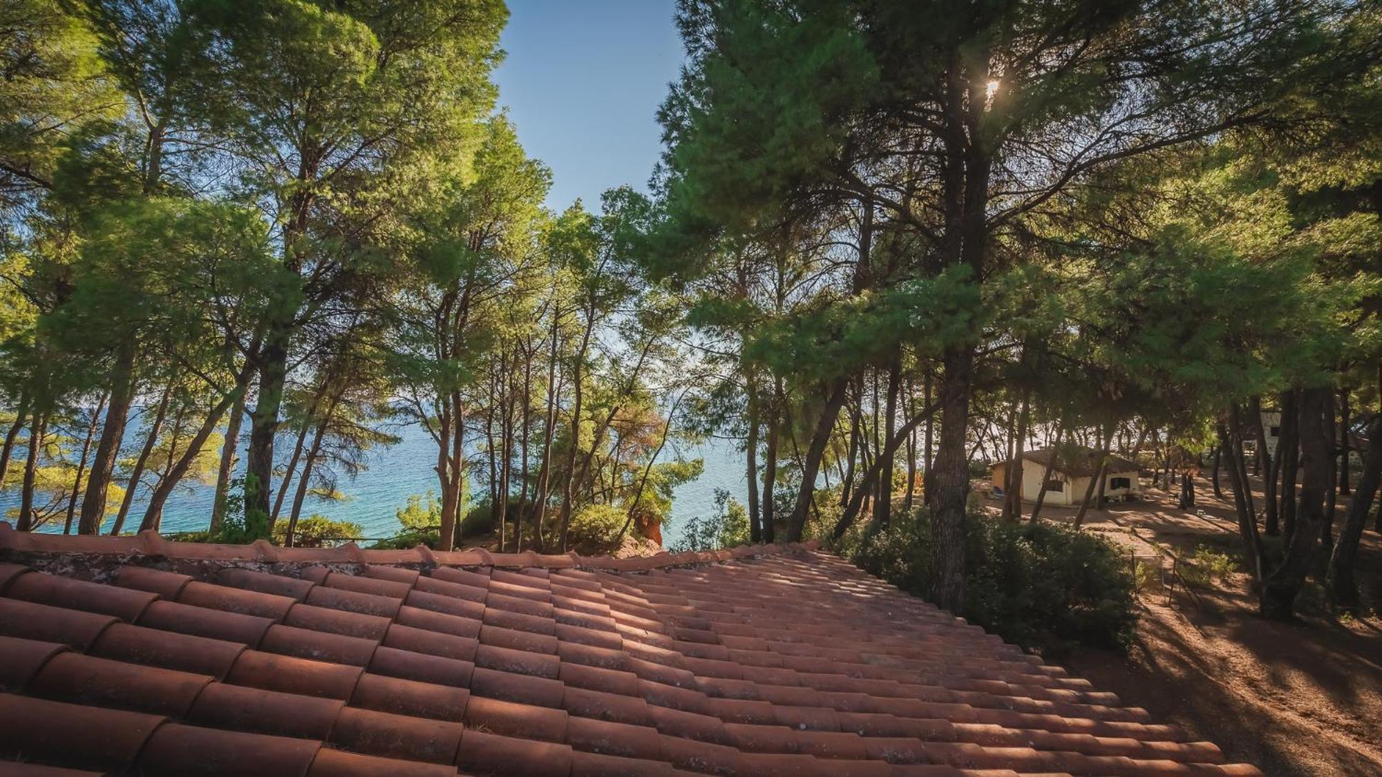 Squirrel Beach Front Villa, Metamorfosi Metamorfosi (Sithonia) Exterior foto